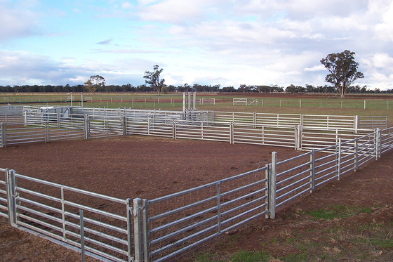 Wholesalesprijs 1.6M Galvanized Cattle Panels Gelaste de Schapenomheining Panels For Farm van het Veepaard