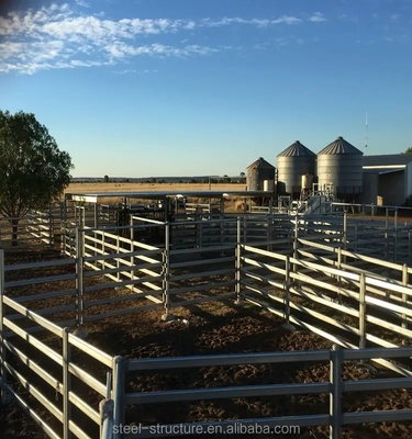 Wholesalesprijs 1.6M Galvanized Cattle Panels Gelaste de Schapenomheining Panels For Farm van het Veepaard