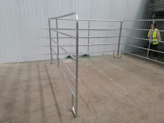 30x60mm gegalvaniseerde vee hek panelen zwaar werk / paardenplaats panel