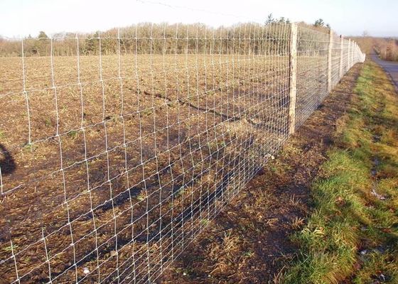 Het Landbouwbedrijfomheining Livestock Fence Panels van Field Fence Galvanized van de scharnier Gezamenlijke Omheining