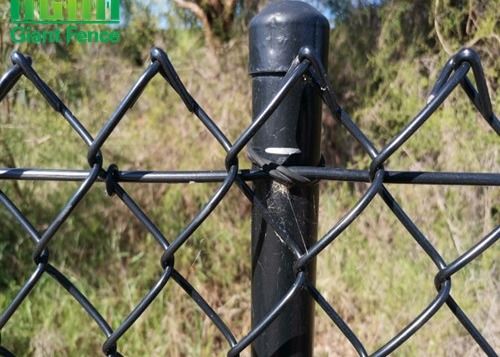 Pvc bedekte Decoratieve Tuinperimeter 2mm de Draad Mesh Fencing van de Kettingsverbinding met een laag