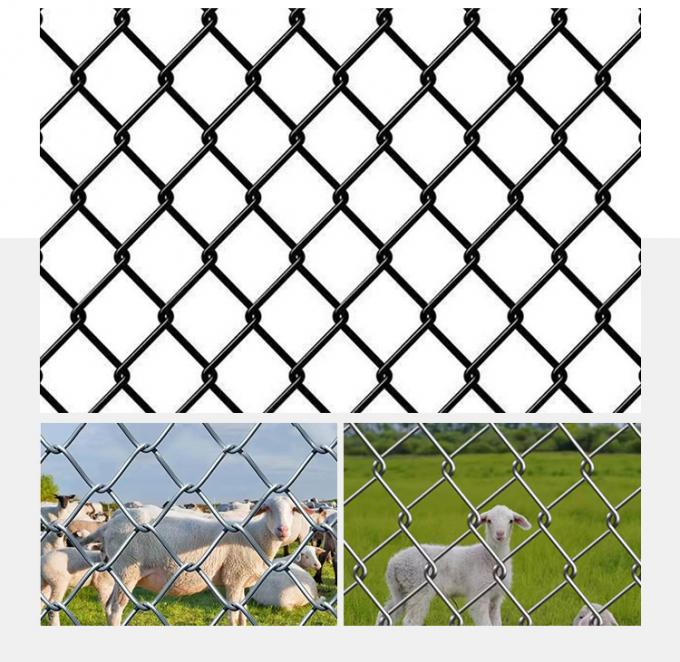 Gegalvaniseerd draadkettinghek met metalen rollen met hoge treksterkte, 6 voet lengte of aanpasbaar 6