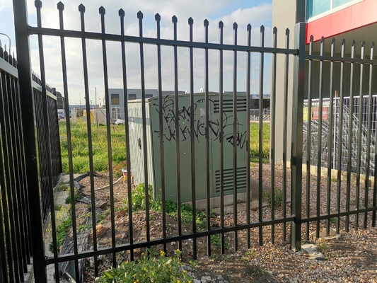 Zwarte ijzeren panelen Stalen muur hek Decoratief laag buisvormig stalen hek voor villa tuin
