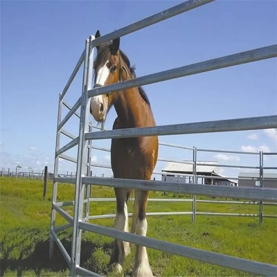 2023 drijven de Hete Verkopende V.S. Op zwaar werk berekend het Veevee van 12 voet Omheining en Paard om Pen Panels bijeen