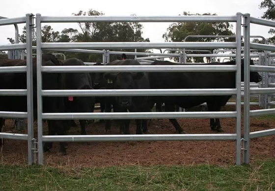 Met een laag bedekt pvc galvaniseerde 12ft de Comités van het Metaalvee Op zwaar werk berekend Metaal om Pen Cattle Corral Livestock Farm-de Omheining van de Paardyard