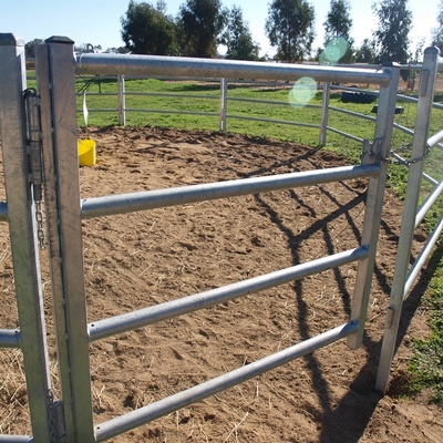 Het Veecomité van de V.S. de Hete Verkopende 12 Voet Op zwaar werk berekende Omheining/het Paard drijft Comités bijeen