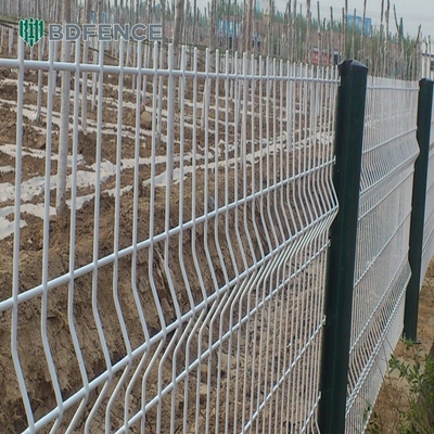 Hoogwaardige poederbedekte tuin gelast gaas 3D gaas hek paneel goedkope prijs duurzaam