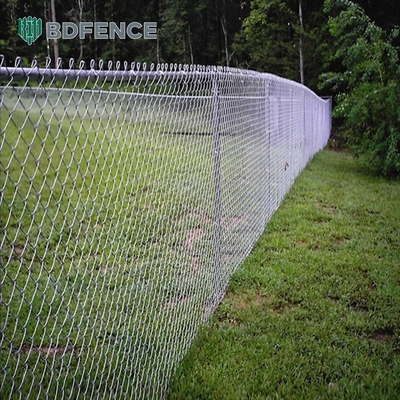 6ft 8ft Chain Link hek met PVC bedekt en gegalvaniseerd afwerking