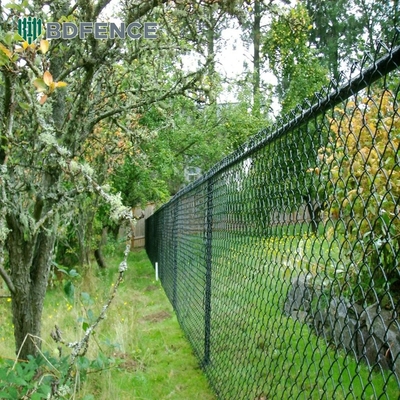 Techniek Geweven 5ft gegalvaniseerd keten schakel hek Met PVC gecoate draad mesh en warm dip gegalvaniseren