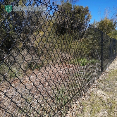 6ft Hoogte Diamant Mesh Chain Link hek Ideaal voor groene tuin boerderij Vierkant Post Type