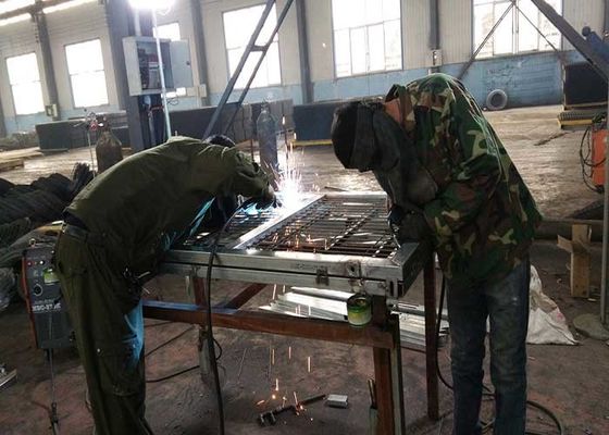 Tuinversiering laag 3D staaldraad gegalvaniseerd bekleed hek in Sliver