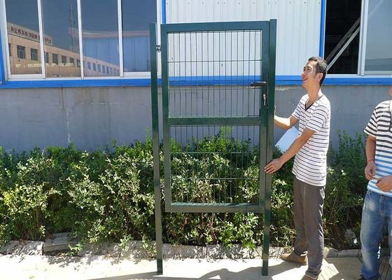 Tuinversiering laag 3D staaldraad gegalvaniseerd bekleed hek in Sliver