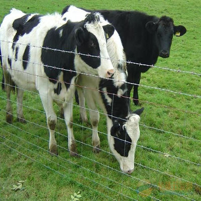 Het gegalvaniseerde Staal Geweven Draadscharnier Gezamenlijke Schermen
