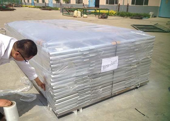 60x60mm Rails Lugs en Pin Model Vierkante Pijp 60ft Hoogte Vee Paneel Voor Paard