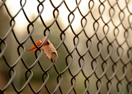 Eenvormig Mesh Hole 3mm de Groene Omheining van de Kettingsverbinding
