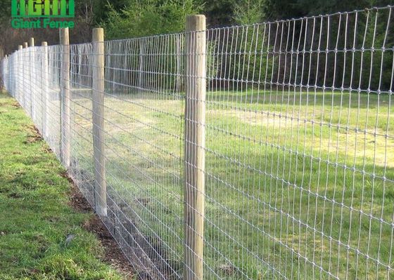 HGMT-de Comités van Mesh Fixed Knot Livestock Fence van de Staaldraad