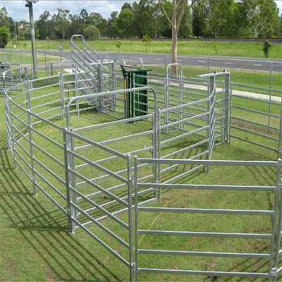 60x60mm Rails Lugs en Pin Model Vierkante Pijp 60ft Hoogte Vee Paneel Voor Paard