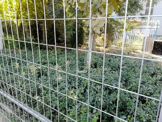 Amerikaanse markt standaard 6 x 12 ft gegalvaniseerde tijdelijke keten schakel hek panelen voor bouwplaats