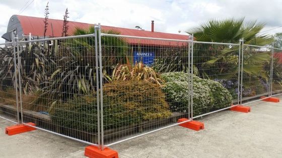 Gegalvaniseerde PVC Canada Tijdelijke hekpanelen Hot Sale Pool hek Tijdelijk hek hek Voor Canada