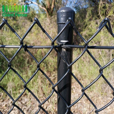 Ral 6005 Groen Plastiek Met een laag bedekt Diamond Mesh Fencing 50*50mm 6feet-Hoogte