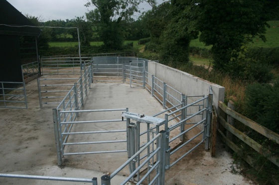 Van het de Lengtevee van ISO 2.1m het Landbouwbedrijf van de Omheiningspanels for livestock