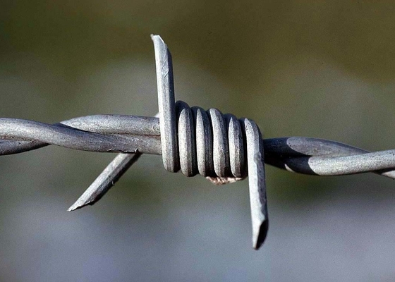 Het schermen 3.4mm Bescherming de Met grote trekspanning van de Prikkeldraadoxydatie